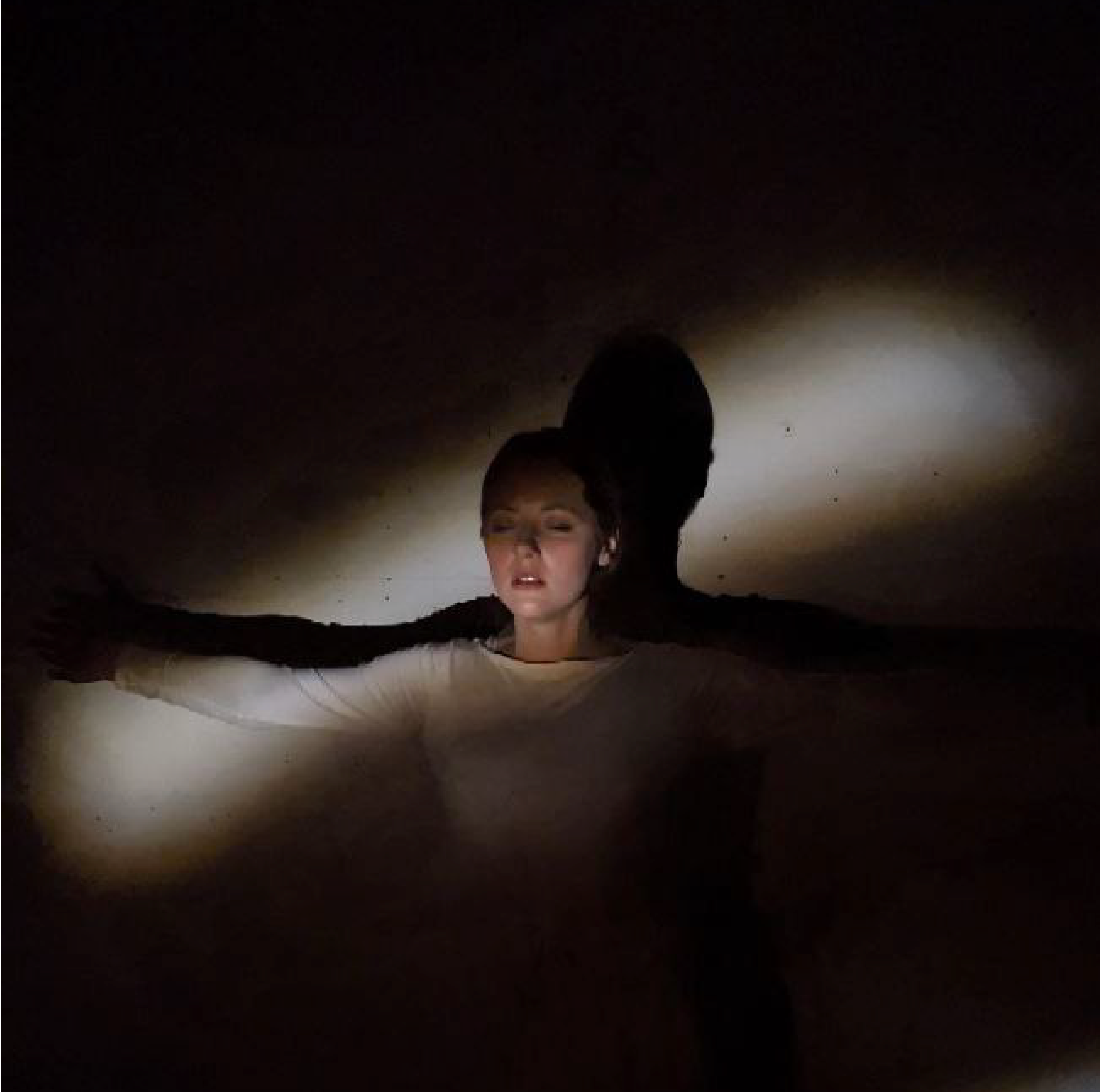 THE SHADOW