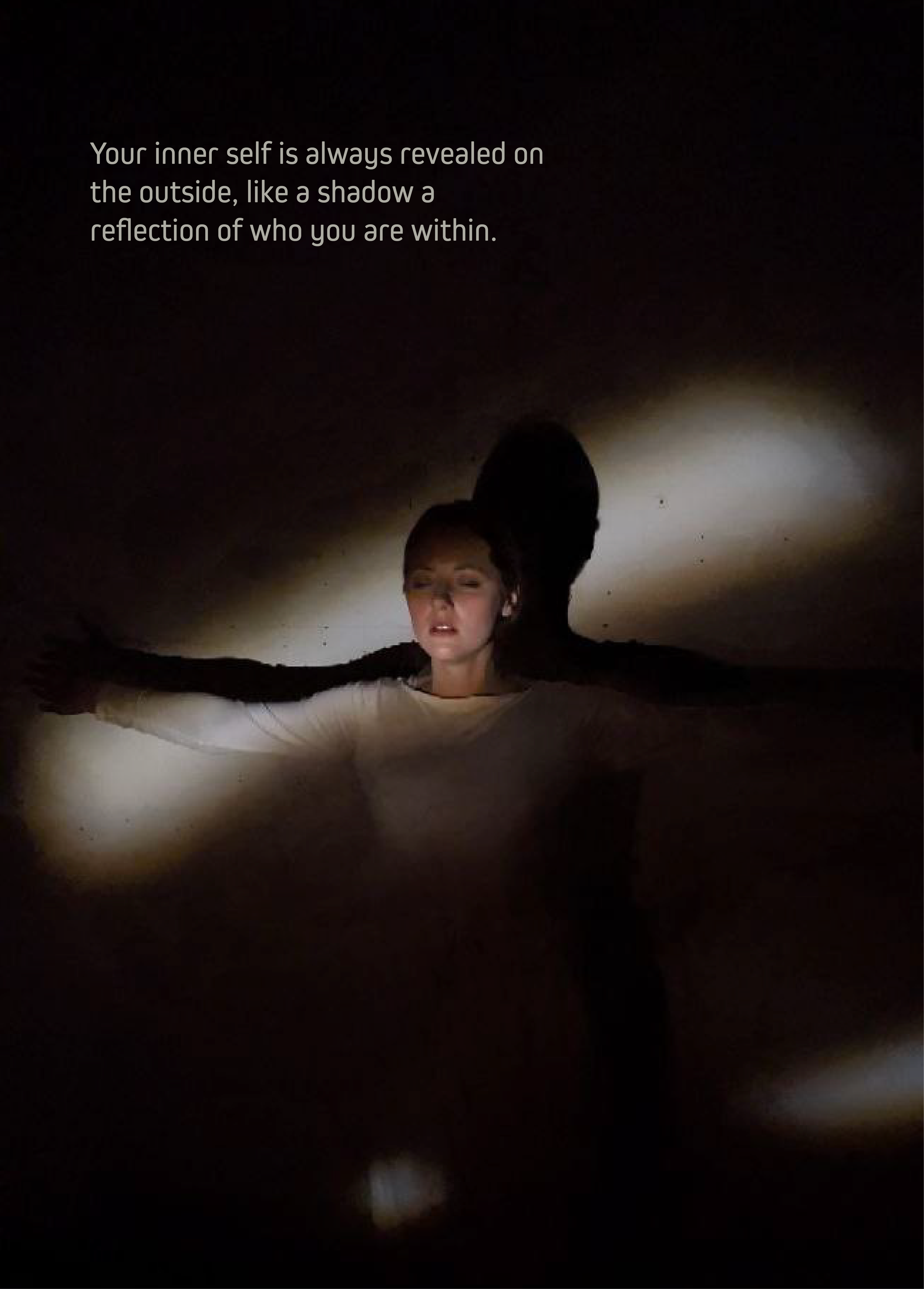 The Shadow Poster