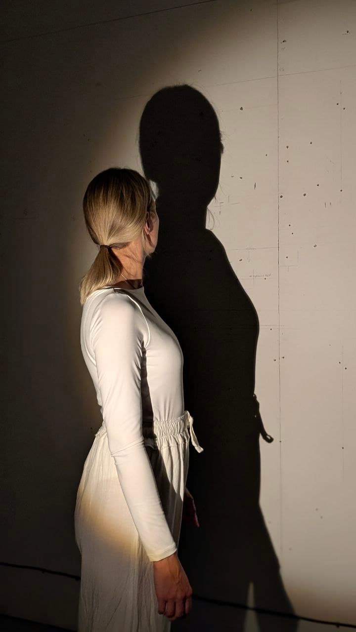 The Shadow Visual 2